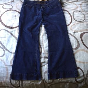Gap Premium Flare Jeans Size 14/32R